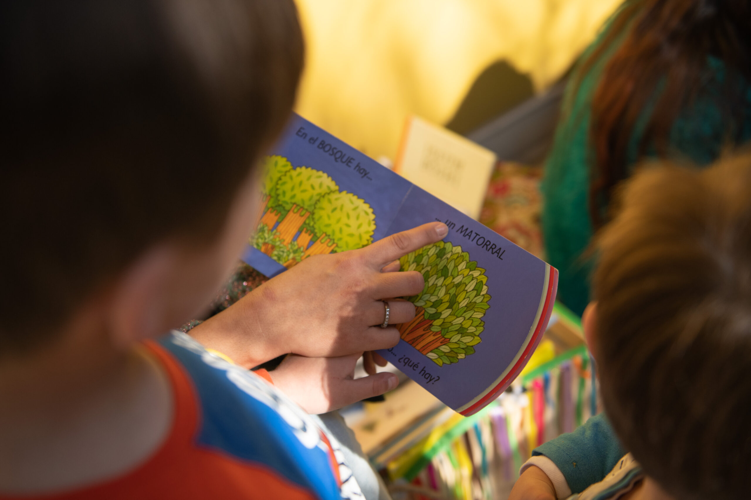 Un niño participando en la Etapa III del proceso de cuentacuentos. Se le nota leyendo un libro que tiene dibujos de u árbol.