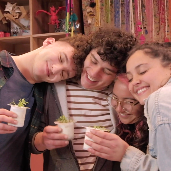 5 cursos para concluir el año