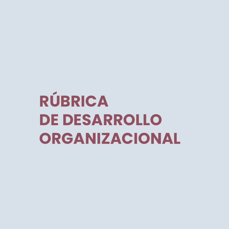  Rúbrica desarrollo organizacional